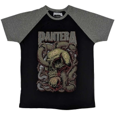 Pantera - Serpent Skull Uni Bl/Grey Raglan