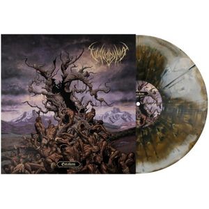 Vulvodynia - Entabeni