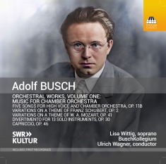 Lisa Wittig Buschkollegium Ulrich - Busch: Orchestral Works, Vol. 1