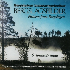 Bergslagens Kammarsymfoniker - Bergslagsbilder
