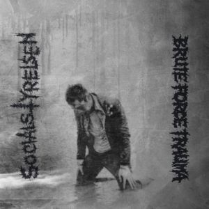 Socialstyrelsen / Brute Force Traum - Split (Vinyl Lp)