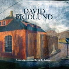 Fridlund David - Some Day, Eventually, In The Futu..