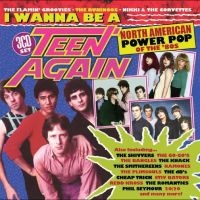 Various Artists - I Wanna Be A Teen Again ? American