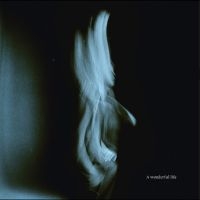 Tom Odell - A Wonderful Life