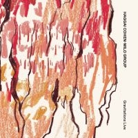 Cohen-Milo Haggai - Gravitations