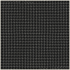 Yttling Jazz - Illegal Hit (Vinyl)