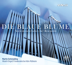 Martin Schmeding - Die Blaue Blume - Landscapes Of The