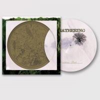 Gathering The - Nighttime Birds (Picture Vinyl Lp)