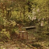 Luke Schneider - For Dancing In Quiet Light