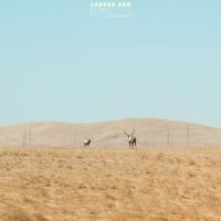 Jaguar Sun - For You (Blue And Black Swirl Vinyl