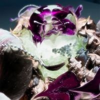 Dragongirl - Hot Blue