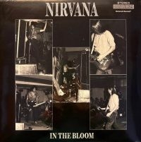 Nirvana - In The Bloom Italy November 26,1989