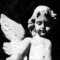 Cold Cave - Passion Depression