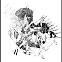 Jesca Hoop - Selective Memory