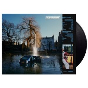 Rudimental - Rudim3ntal