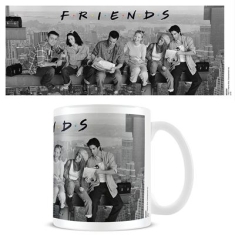 Friends - Lunch On A Skyscraper Mug