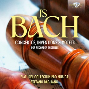 Bach J S - Concertos, Inventions & Motets For