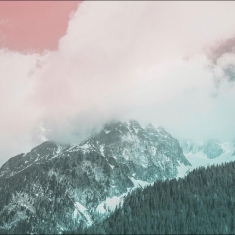 Tiago Sousa - Organic Music Tapes Vol. 4