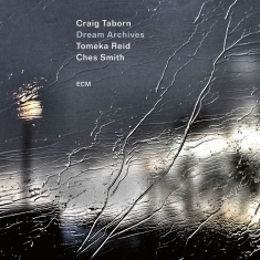Craig Taborn - Dream Archives