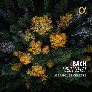 Bach J S - Mein Geist