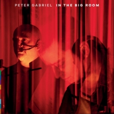 Peter Gabriel - In The Big Room