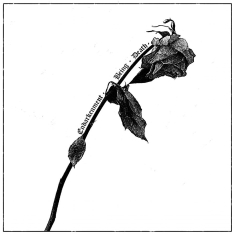 Speglas - Endarkenment, Being & Death