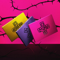 Txt - 7th Year : When The Wind Paused Among The Thorns (Random Ver.)