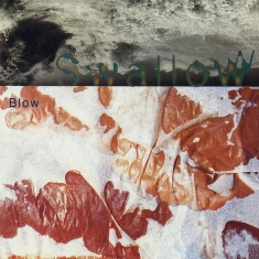Swallow - Blown