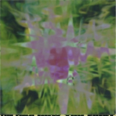 The Field - Now You Exist