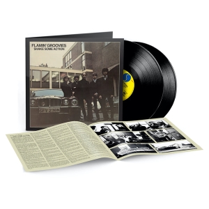 Flamin' Groovies - Shake Some Action (Ltd Black 2Lp)