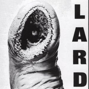 Lard - The Power Of Lard