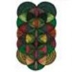 Grateful Dead - Dick's Picks Vol. 24 - Cow Palace D i gruppen CD / Toppsäljare hos Bengans Skivbutik AB (568252)