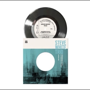 Steve White Trio - Mandrake Root (A Tribute To Jon)