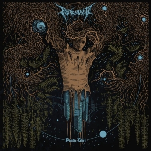 Boötes Void - Panta Rhei