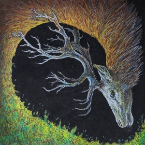 Petrels - Infangthief