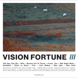 Vision Fortune - Iii