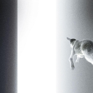 Panoram - Keep Looking Where The Light Comes