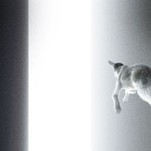 Panoram - Keep Looking Where The Light Comes