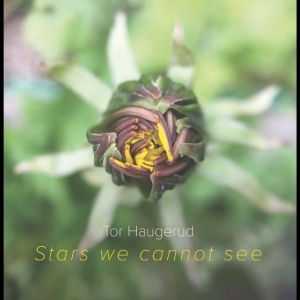 Haugerudtor - Stars We Cannot See (Vinyl)