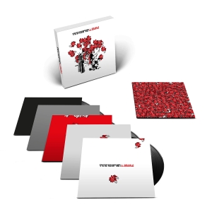 Siouxsie And The Banshees - Downside Up (5Lp Box)