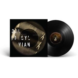 David Sylvian - Distance Between The Killer And The