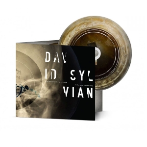 David Sylvian - The Distance Between The Killer And