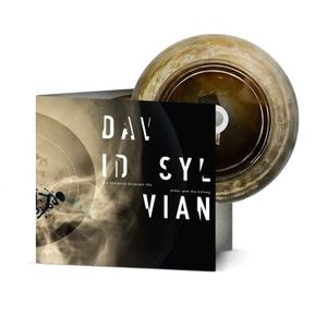 David Sylvian - Distance Between The Killer And The