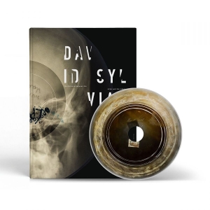 Sylvian David - Distance Between The Killer And The