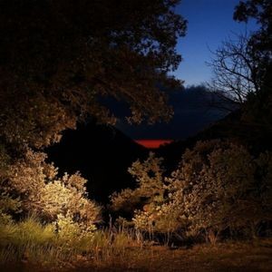 Chloé - Shape Of The Unknown