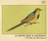 Hawk And A Hacksaw A - The Way The Wind Blows