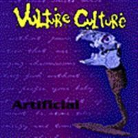 Vulture Culture - Artificial i gruppen CD / Hårdrock,Pop-Rock hos Bengans Skivbutik AB (578361)