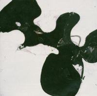 Eleventh Dream Day - Stalled Parade