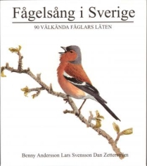 90 Välkända Fåglars Läten - Fågelsång I Sverige