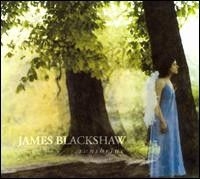 Blackshaw James - Sunshrine i gruppen CD / Pop hos Bengans Skivbutik AB (596224)